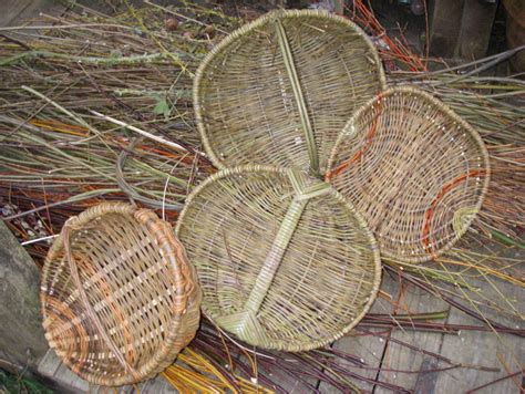 How To Split Willow For Baskets