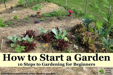 How To Start A Basic Garden