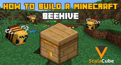how to start a bee hive in minecraft