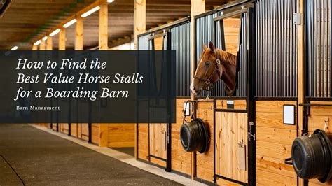 How To Start A Boarding Barn