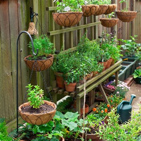 how to start a container garden
