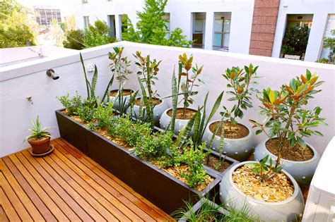 how to start a garden in an apartment