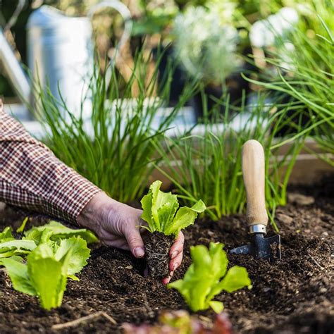how to start a garden in michigan