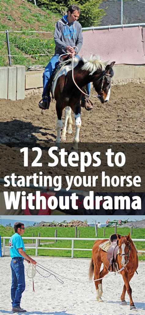 how to start a horse