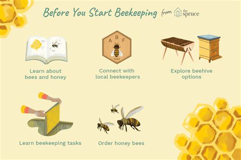 how to start an apiary