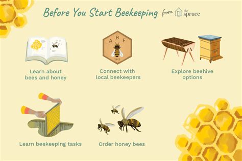 A Beginner's Guide to Beekeeping