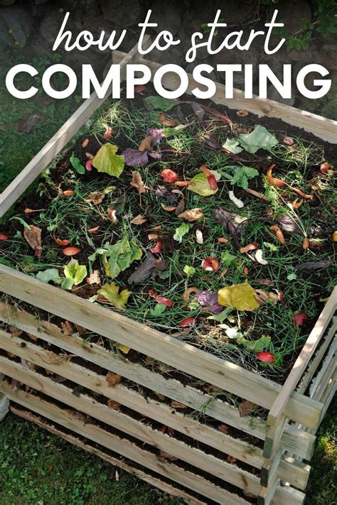 How To Start Composting With A Bin