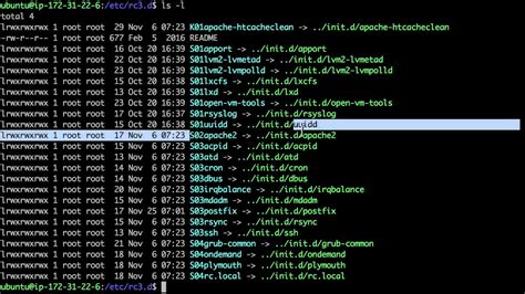how to start daemon in linux