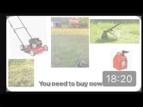 how to start mowing lawns for money