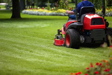 how to start your own lawn mowing business