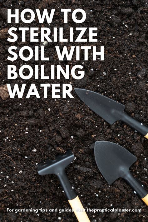 how to sterilize garden soil