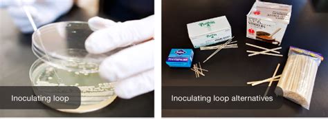 How To Sterilize Toothpicks