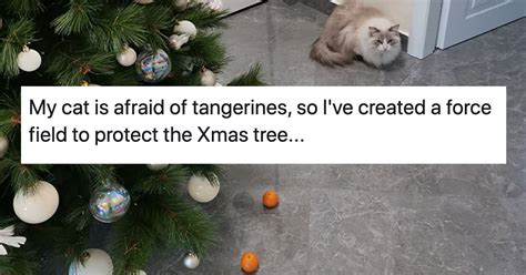 How To Stop A Cat From Attacking Christmas Tree