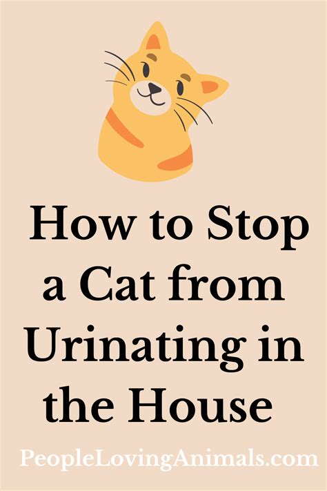 How To Stop A Cat From Peeing In Your House
