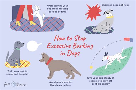 How To Stop A Dog From Barking And Howling