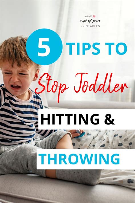 How To Stop A Toddler From Hitting And Throwing Things