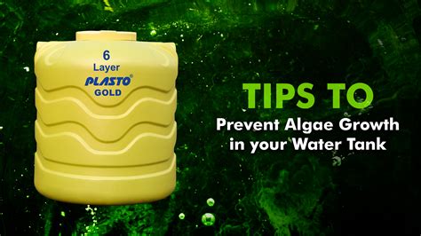 How To Stop Algae In A Water Tank