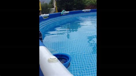 How To Stop Ants From Getting In Pool