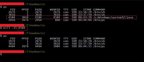 how to stop bash process