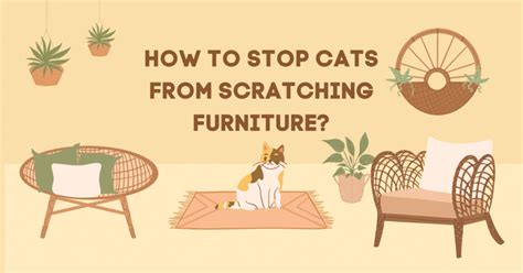 How To Stop Cats Scratching Things