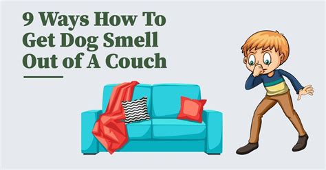 How To Stop Couch From Smelling