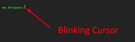 How To Stop Cursor Blinking Css