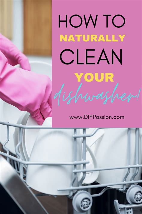 How To Stop Dishwasher From Stinking