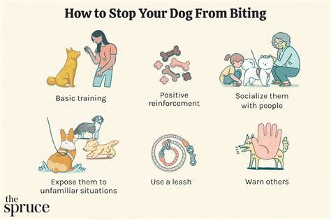 how to stop dog bites