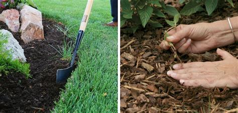 How To Stop Grass From Growing In Mulch Bed