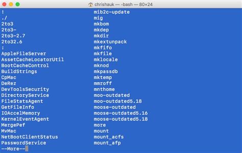 how to stop mac terminal command