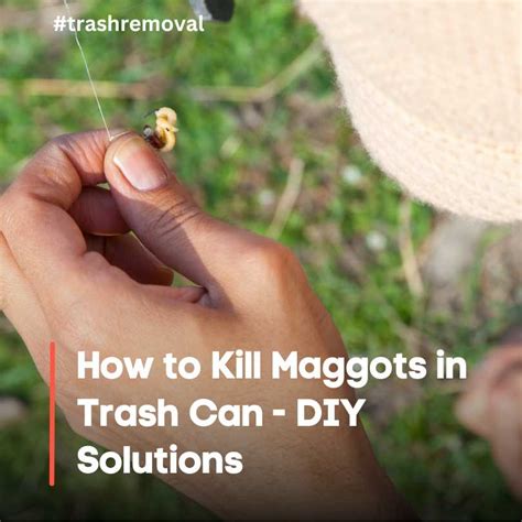 How To Stop Maggots In Trash Can