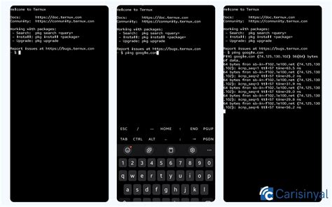 how to stop ping in termux