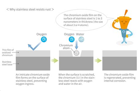 How To Stop Stainless From Rusting