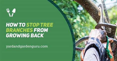how to stop tree branches growing