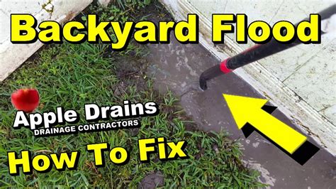 Prevent Backyard From Flooding / Indigenous plants can help to prevent