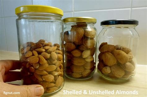 How To Store Almonds In Shell