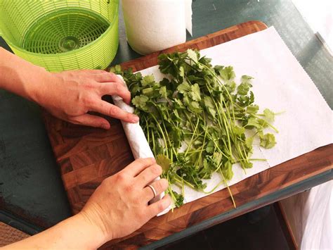 How To Store Basil And Mint