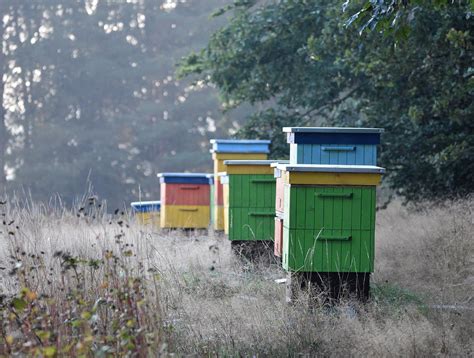 How To Store Bee Boxes