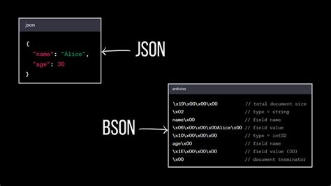 How To Store Binary Data In Mongodb