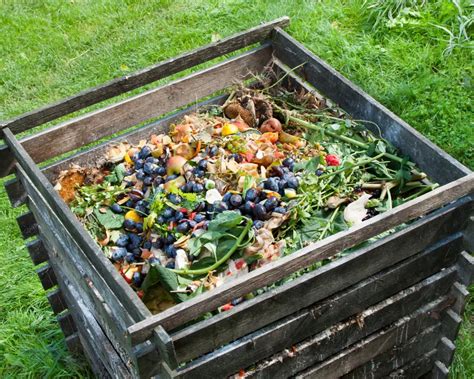 How to Store Compost Correctly Woolly Green
