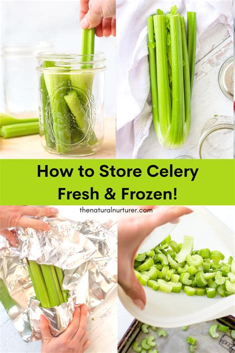 How To Store Cut Celery In The Refrigerator