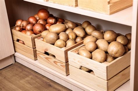 How To Cure And Store Potatoes For Long Term Storage! Pampered