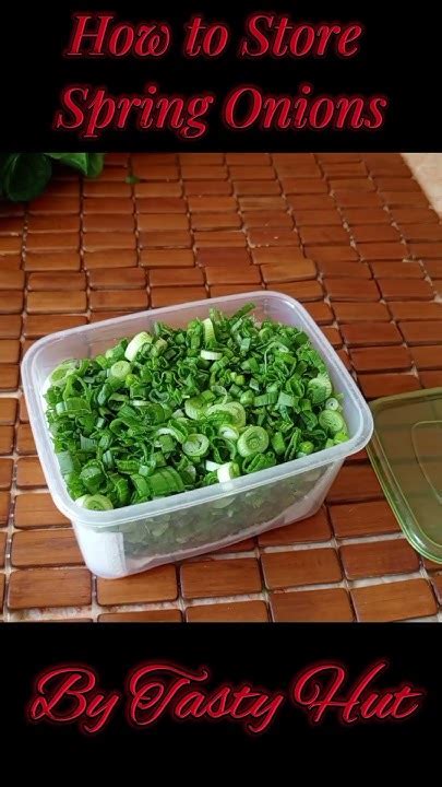 How to Store Spring Onions to Stay Fresher for Longer Edible plants