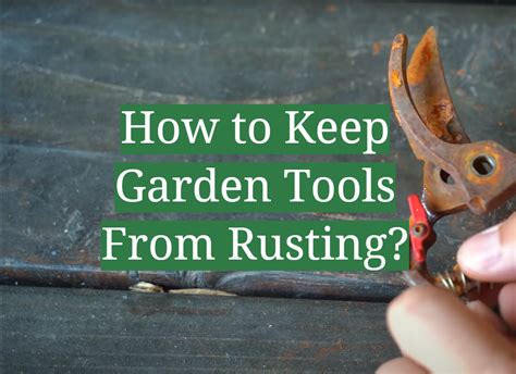 How To Store Tools To Prevent Rust