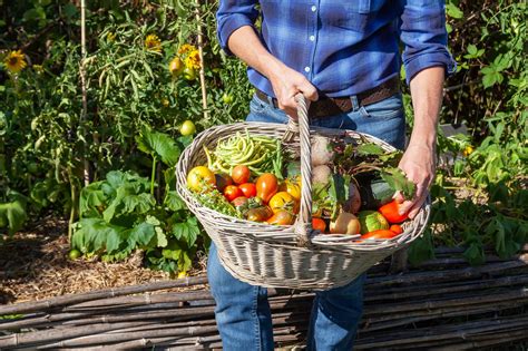 how to store vegetables from garden