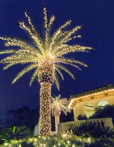 How To String Lights On Palm Trees