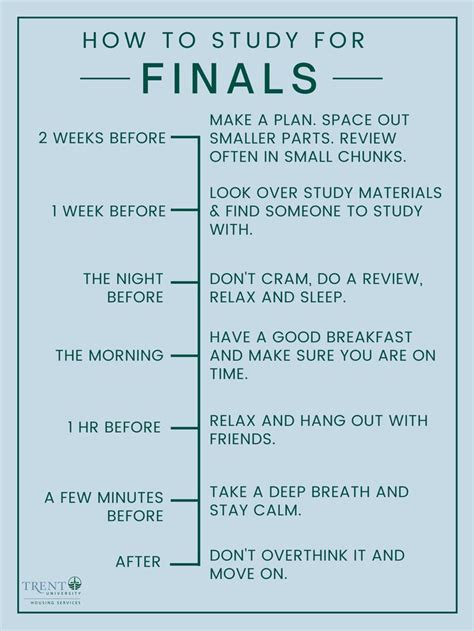 how to study for finals in a day