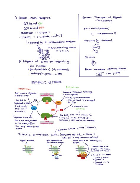 How To Study Signalling Pathways
