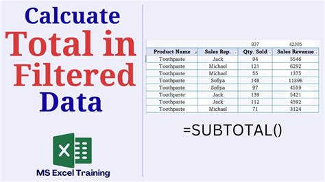 how to subtotal filtered data in excel