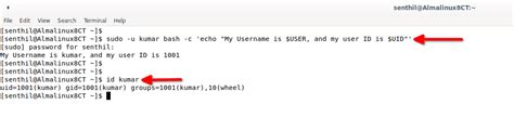 how to sudo as another user